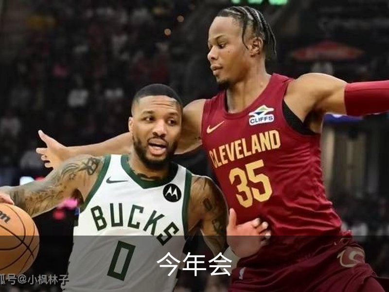 今年会简介